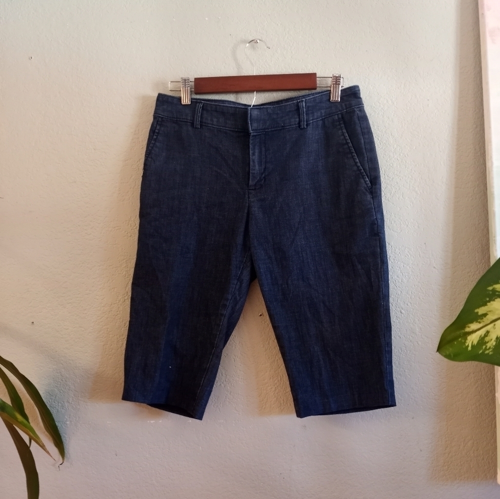Banana Republic Hampton Fit Preppy Dark Wash Denim Flat Front Shorts
